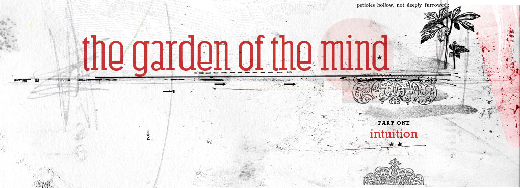 The Garden of the Mind ~ Part One artwork