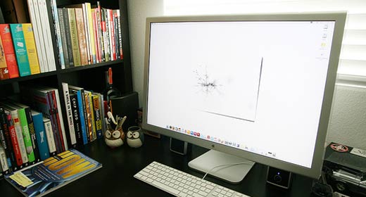 Traci Yau Office