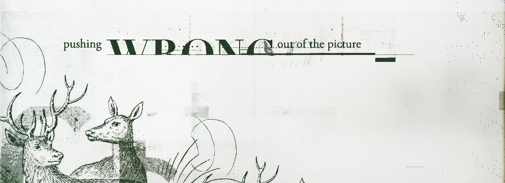 Pushing "Wrong" Out of the Picture artworks 